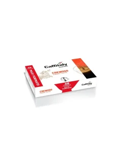 48 Capsule Cremoso Caffitaly