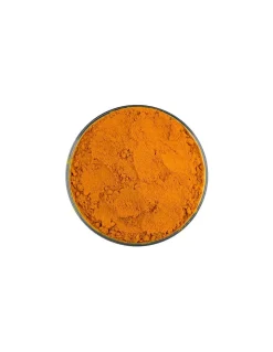 Curcuma Polvere