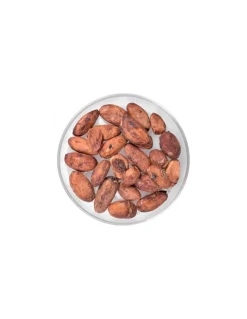 Fave Di Cacao Crude