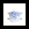 Gaiwan In Porcellana Xia