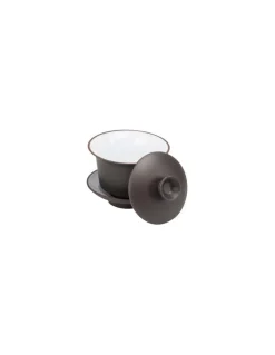 Gaiwan In Terracotta