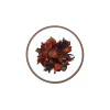Infuso Cappuccetto Rosso