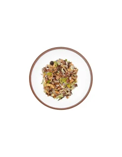 Infuso Chai Choccolate