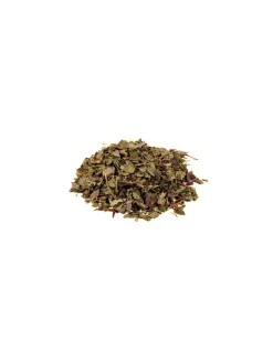 Menta Piperita In Foglie