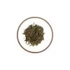 Sencha Fukuoka