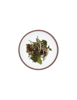 Tè Bianco Pai Mu Tan White Peony