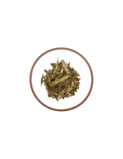 Tè Verde Bancha