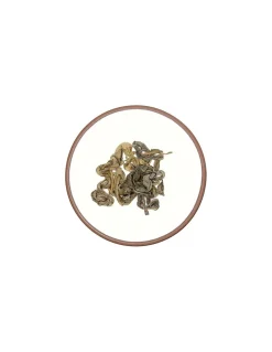 Tè Verde Ceylon Melfort