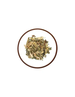 Tisana Linea con tè verde
